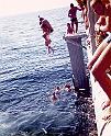 07 - Argonaut HandsToBathe1_Gulf_1981